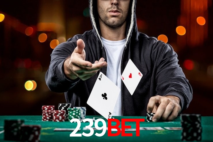 239bet.com