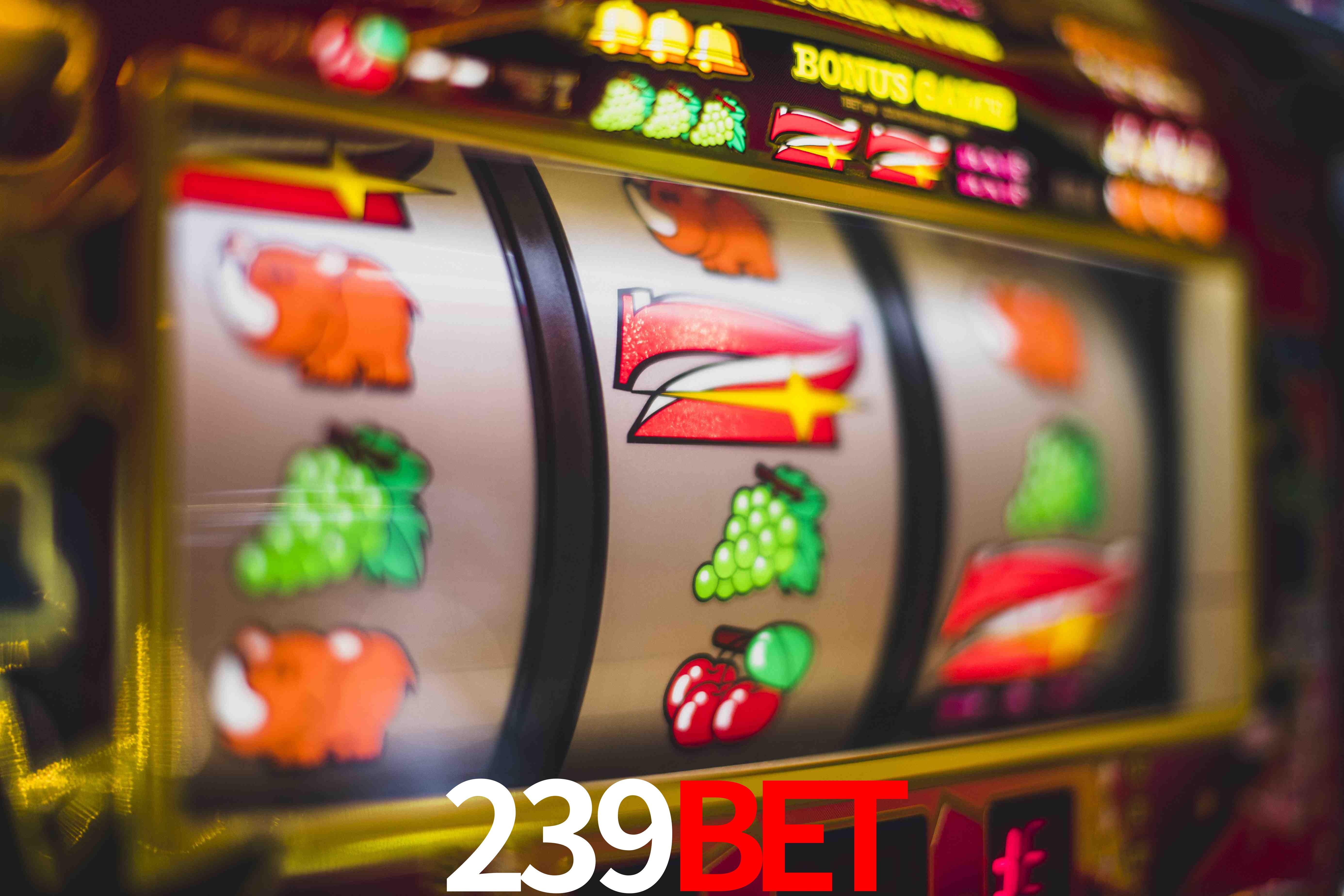 Basketball Betting 239bet